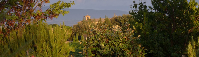 Copyright © Josefina & Wolfgang Bleier, Austria